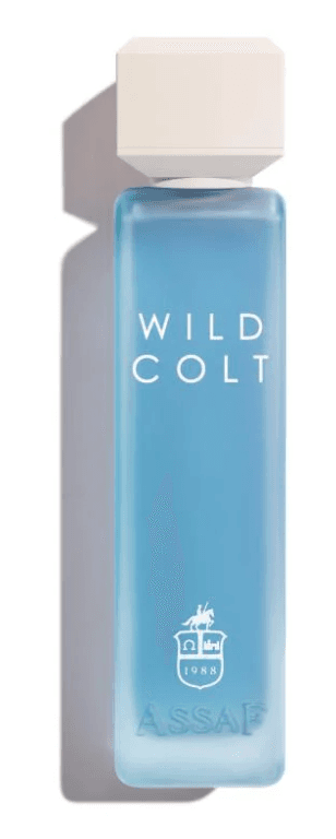 Assaf Wild Colt