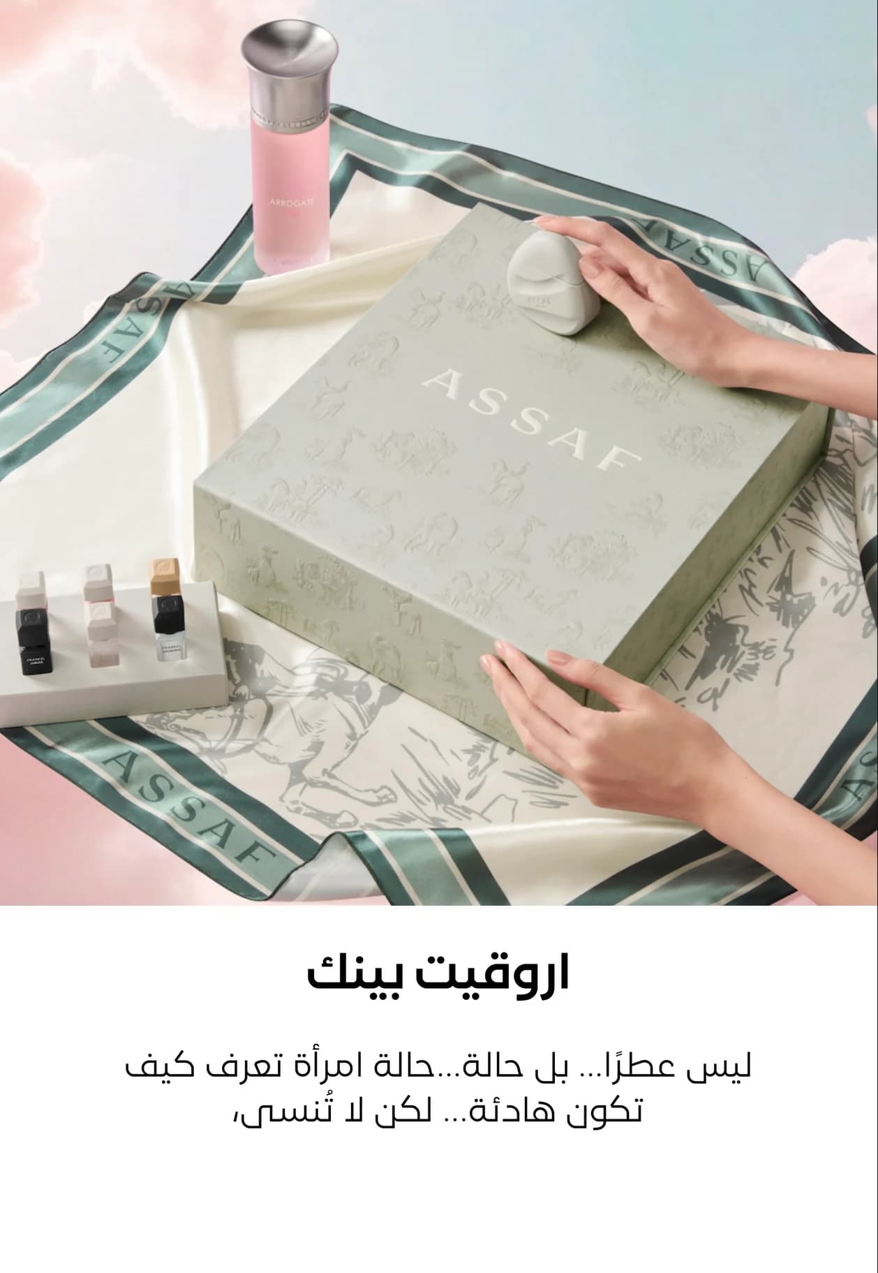 مجموعة اروكيت ببينك من عساف
